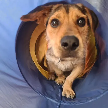 Appartement Nordseedeich *