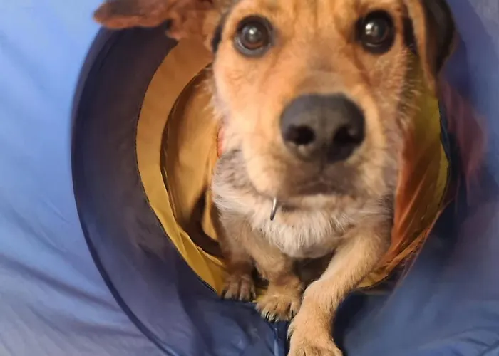 شقة Nordseedeich *